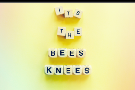 The bee´s knees